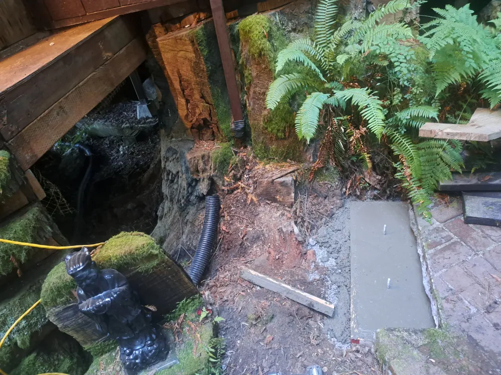 Stairway Restoration image